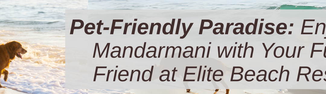 Pet-Friendly Paradise: Enjoying Mandarmani with Your Furry Friend at Elite Beach Resort