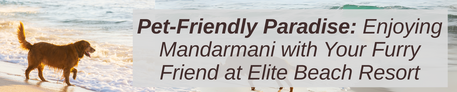 pet-friendly resort in Mandarmani